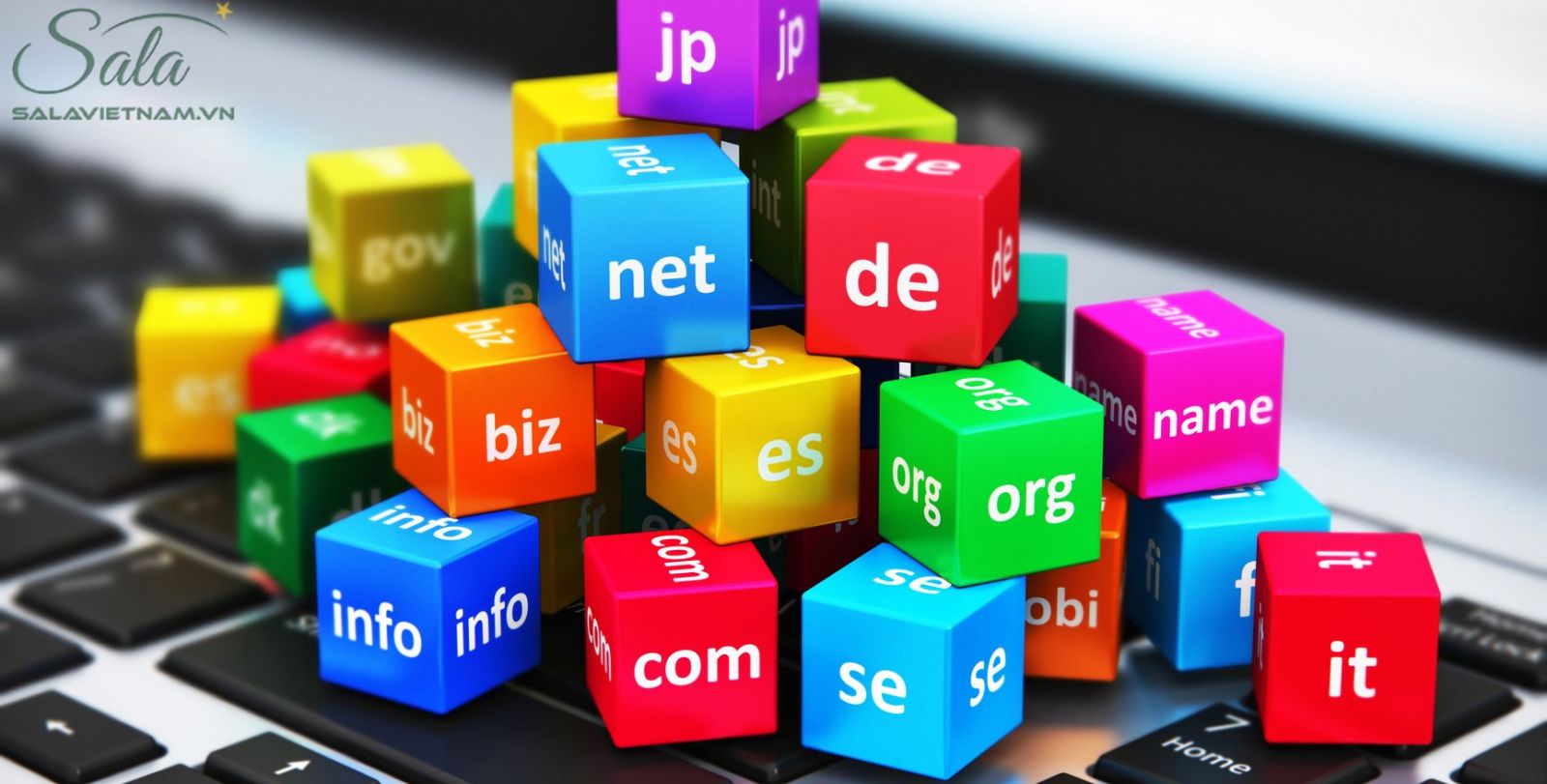 ten-mien-website-dang-ky-bao-lau-dang-ky-lai