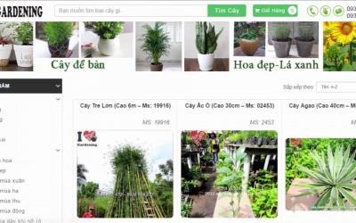 Thiết kế website cây cảnh